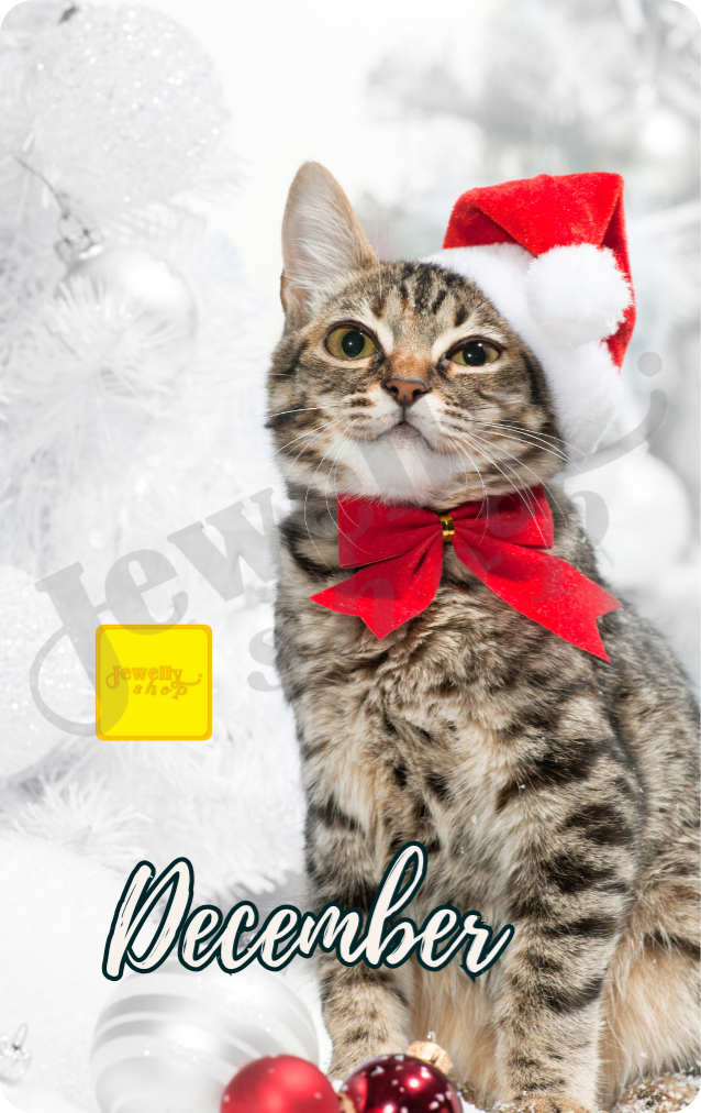 December Cat | Monthly | Christmas - Snow 0.25g